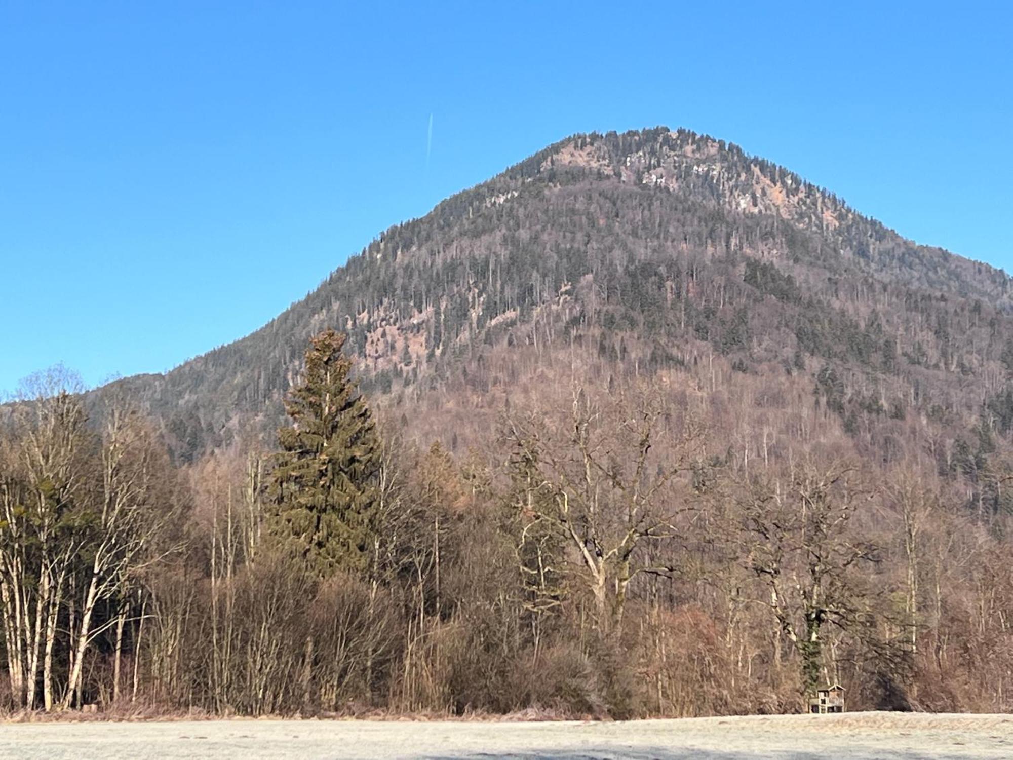 Ferienwohnung Bergwelten Oberaudorf Exterior foto